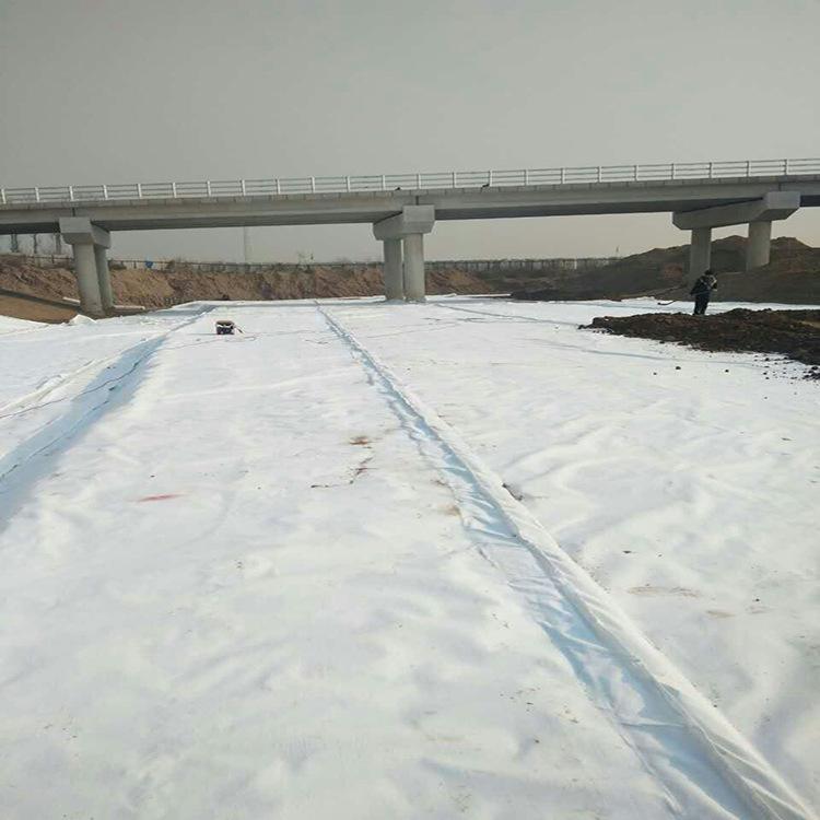 河道復合土工膜